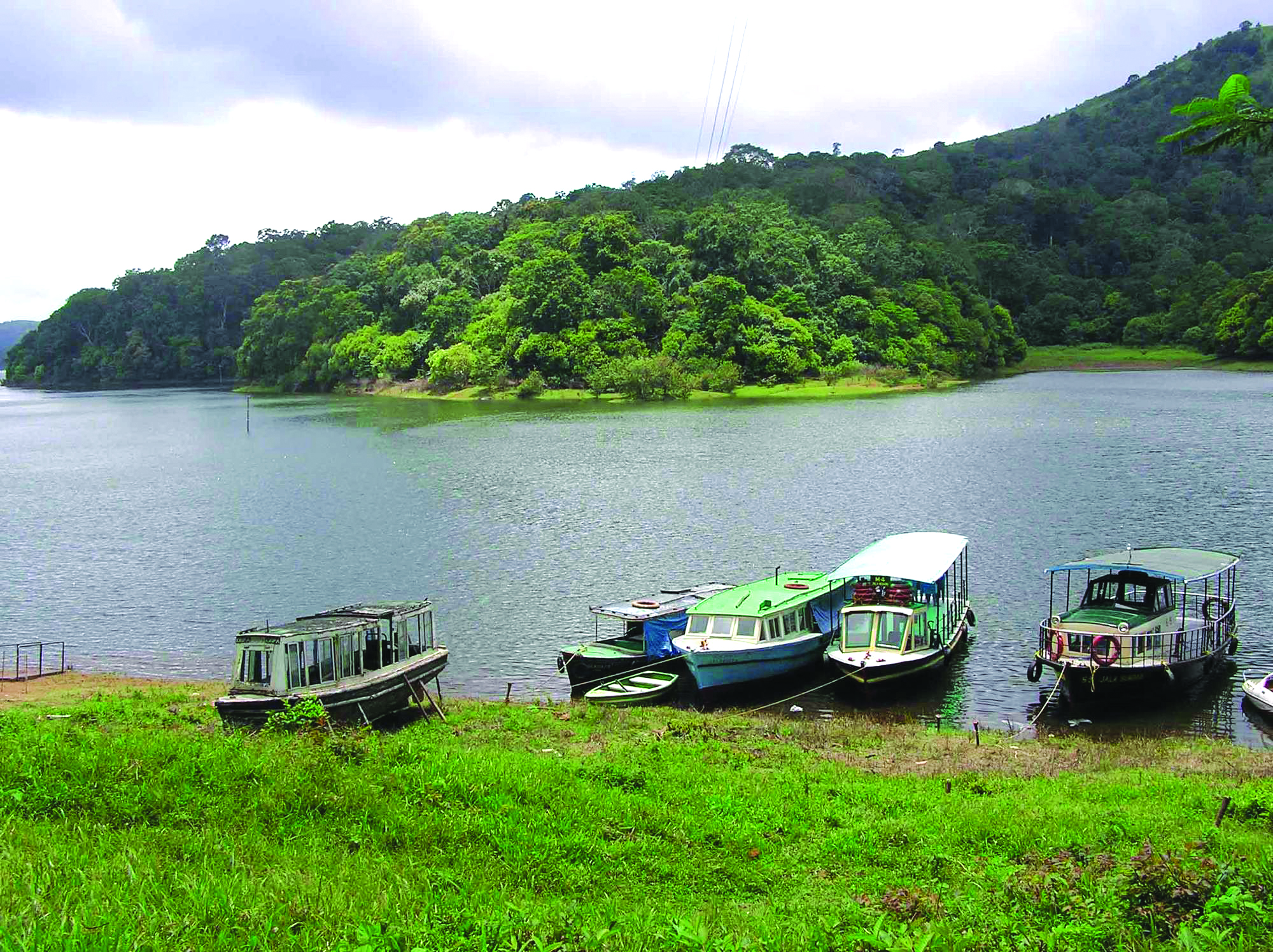 https://d3r8gwkgo0io6y.cloudfront.net/upload/Periyar Lake01.jpg
